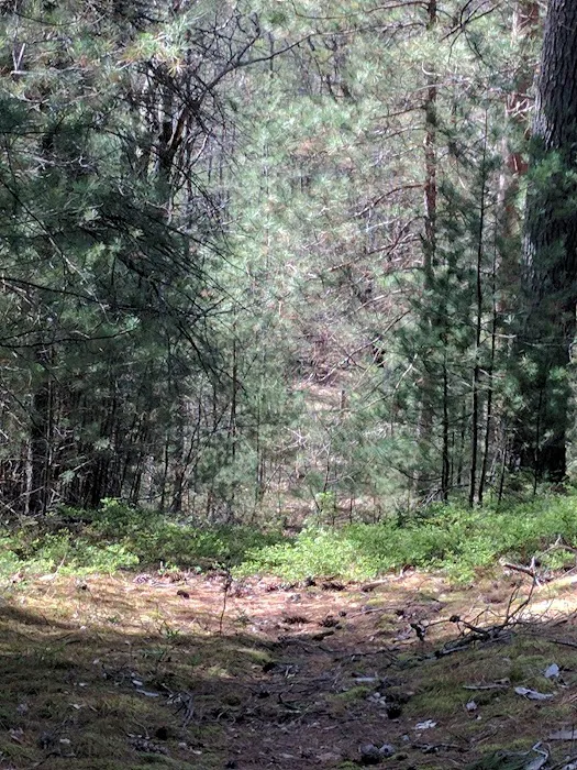 Silver Valley Trailhead Picture 6