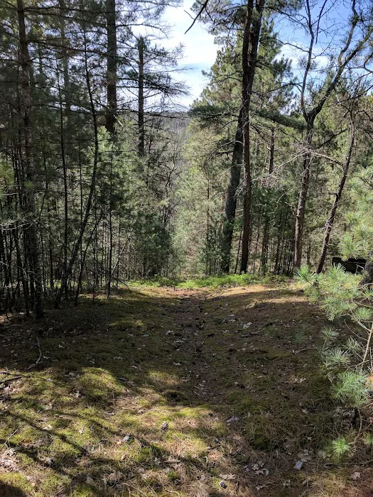 Silver Valley Trailhead Picture 1