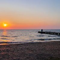 Shady Oaks Campground & RV Park ico