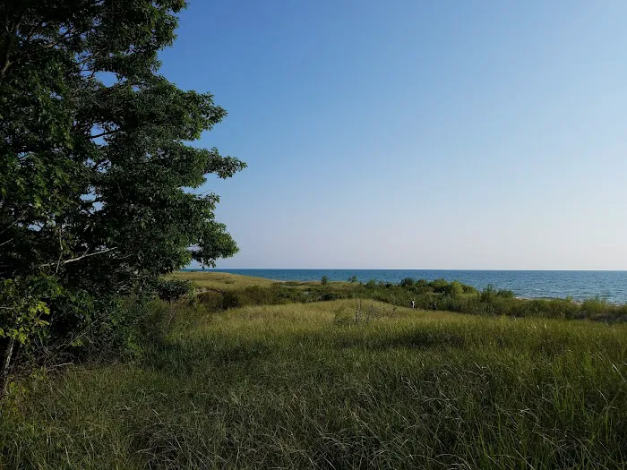 Johnson's Trailer Resort Picture 1