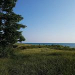 Johnson's Trailer Resort