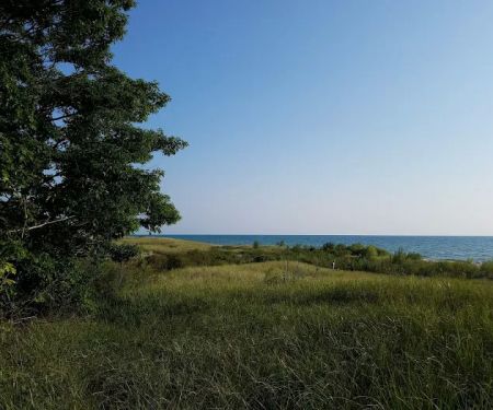 Johnson's Trailer Resort