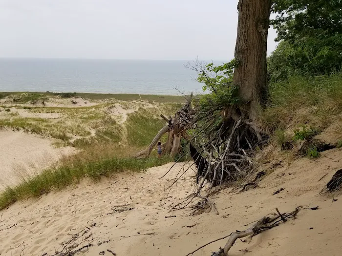 Johnson's Trailer Resort Picture 3