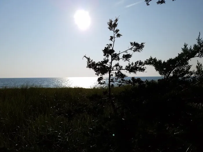 Johnson's Trailer Resort Picture 2