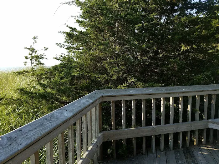 Johnson's Trailer Resort Picture 5