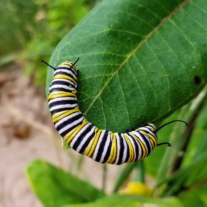 Johnson's Trailer Resort Picture 6