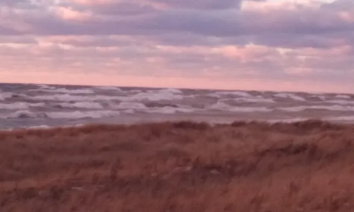 Johnson's Trailer Resort Picture 10