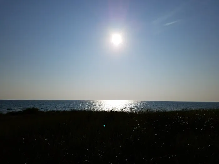 Johnson's Trailer Resort Picture 9