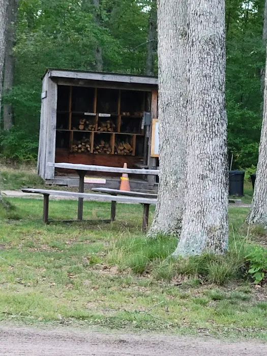 Karner Blue Campground Picture 1