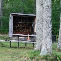 Karner Blue Campground ico