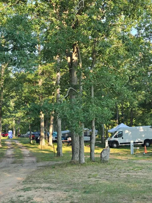 Karner Blue Campground Picture 3