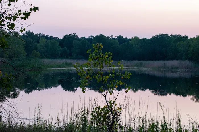 Karner Blue Campground Picture 5