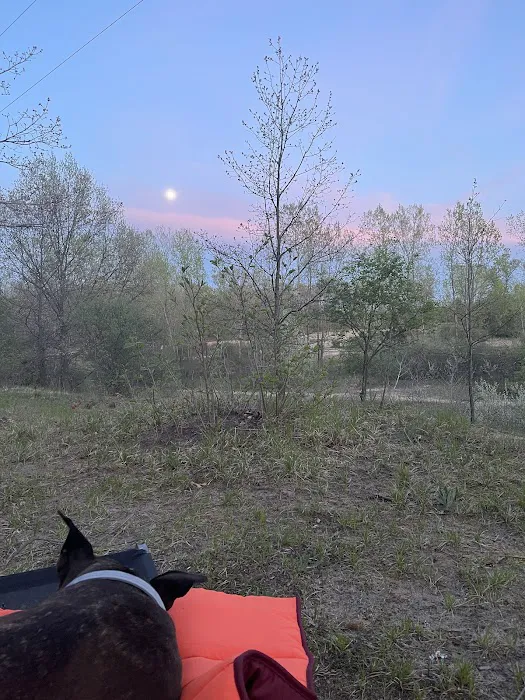 Karner Blue Campground Picture 10