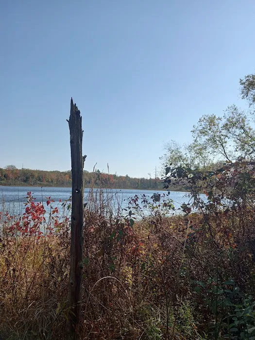 Shelley Lake Campground Picture 3