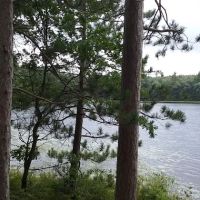 Shelley Lake Campground ico