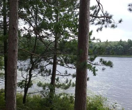 Shelley Lake Campground