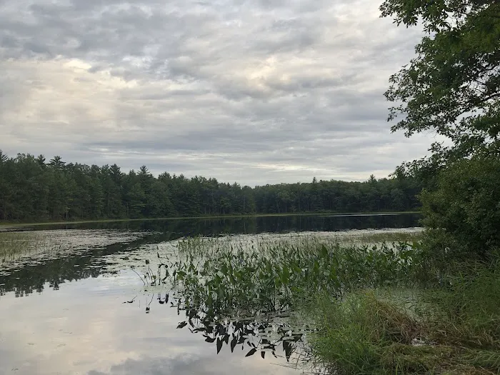 Shelley Lake Campground Picture 6