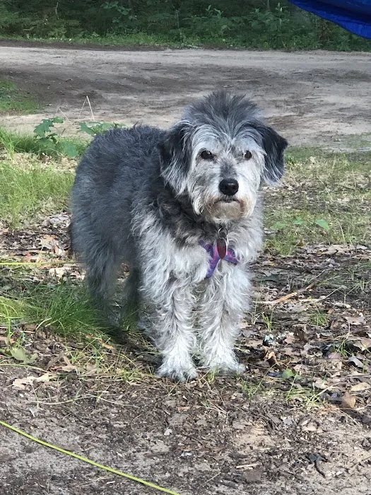 Shelley Lake Campground Picture 7