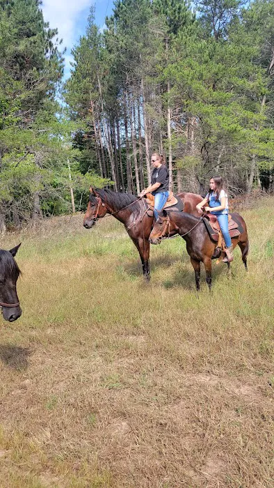 D bar D Ranch Picture 1