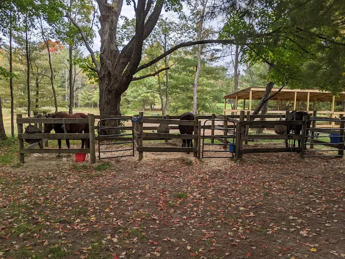 D bar D Ranch Picture 3