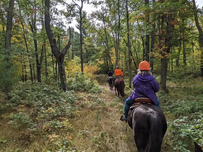 D bar D Ranch Picture 6