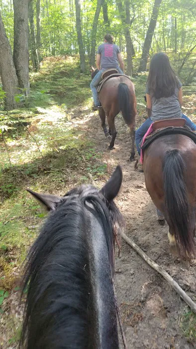 D bar D Ranch Picture 4