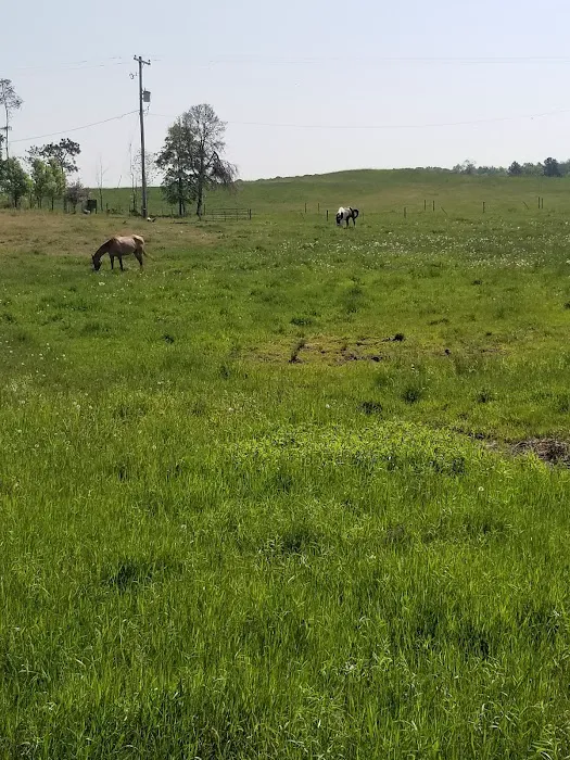 D bar D Ranch Picture 8