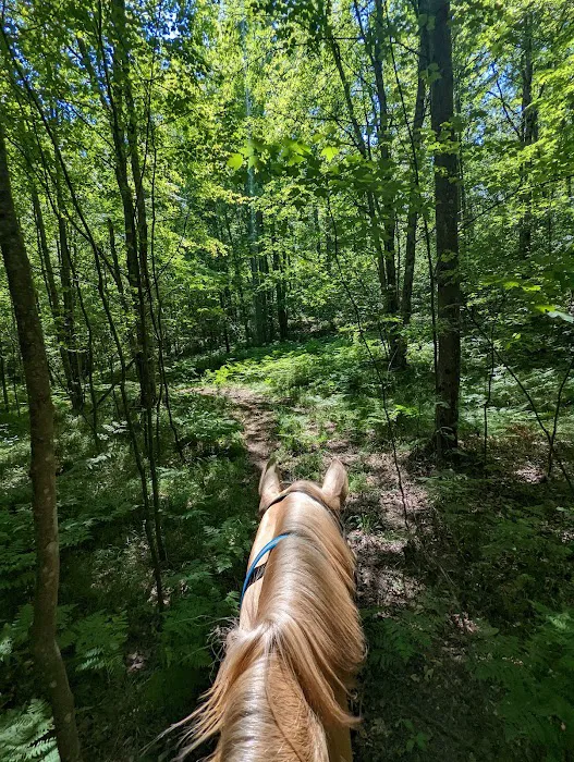 D bar D Ranch Picture 9