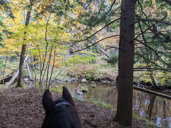 D bar D Ranch Picture 10