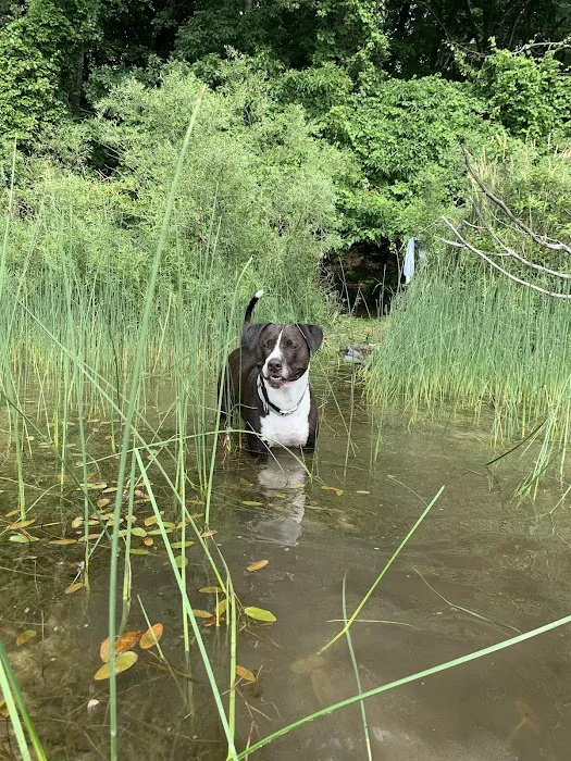 Nichols Lake Campground Picture 7