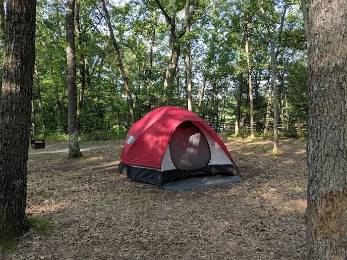 Nichols Lake South Campground Picture 5