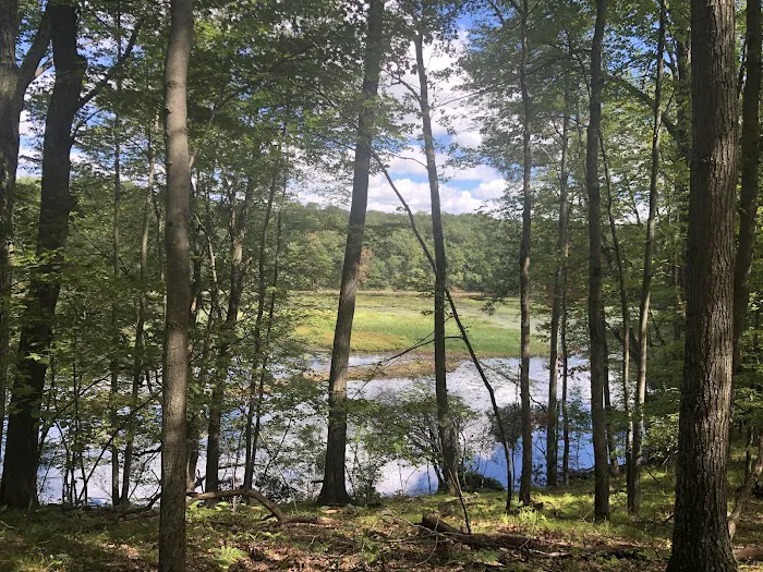 Walkup Lake Campground Picture 5