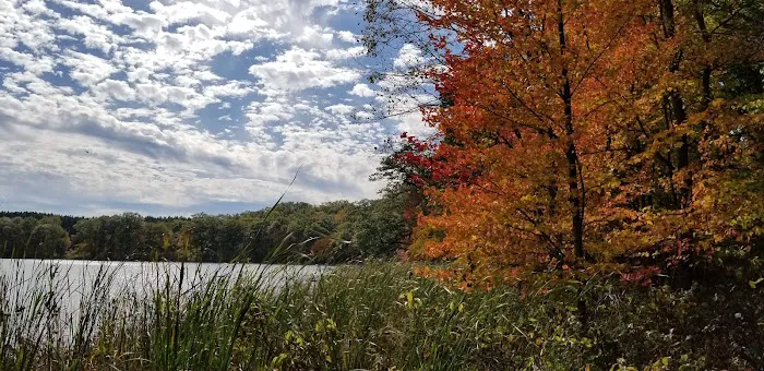 Walkup Lake Campground Picture 8