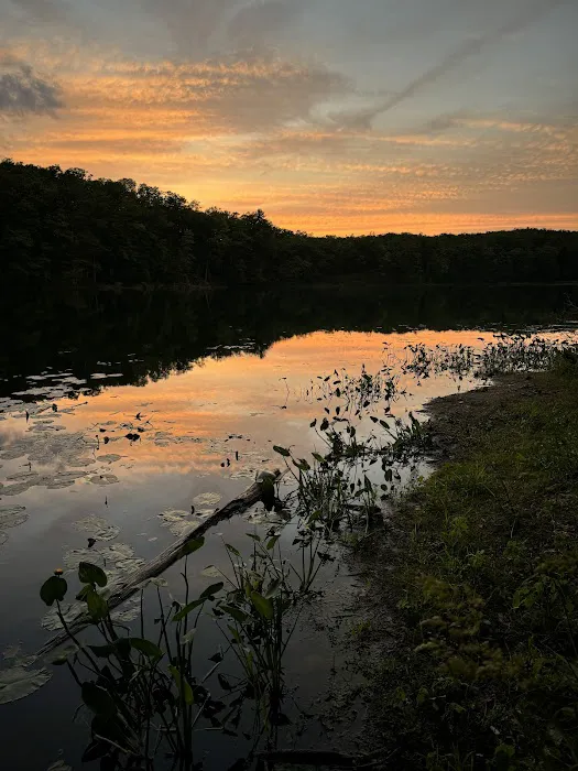 Condon Lakes West Picture 1