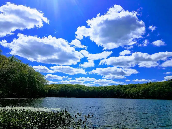 Highbank Lake Campground Picture 2