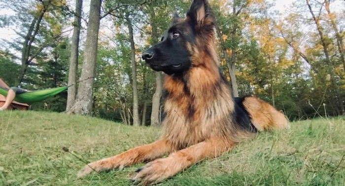 Highbank Lake Campground Picture 6