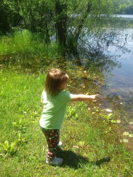 Highbank Lake Campground Picture 9