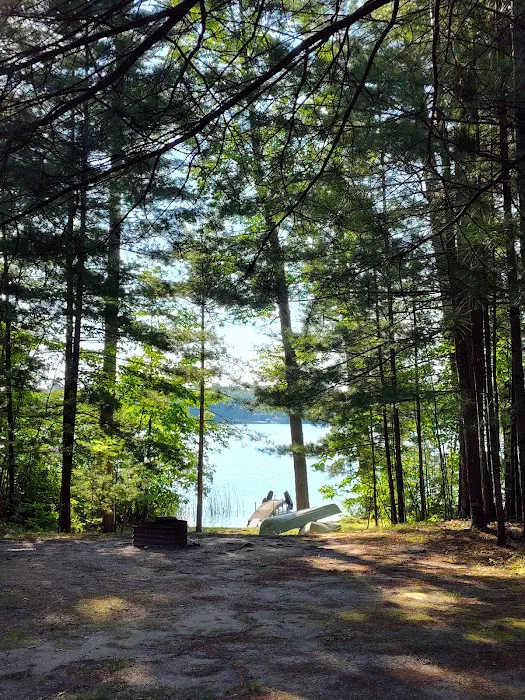 Pickerel Lakeside Campground Picture 3