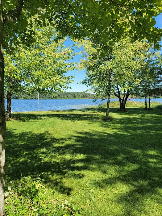 Campbell Lake Campground Picture 7