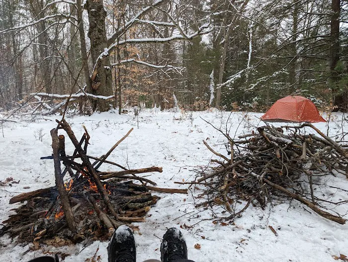 Diamond Point Campground Picture 6