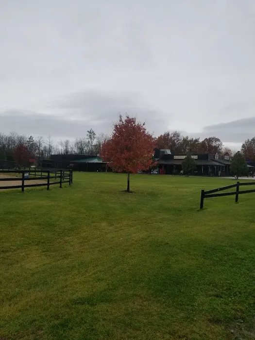 Back Forty Ranch Picture 9