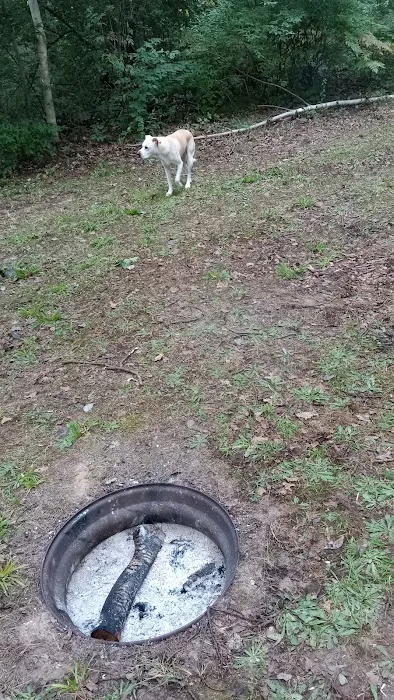 Sunrise campground Picture 1