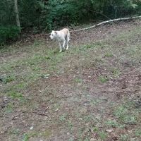 Sunrise campground ico