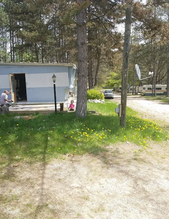 MATTS PINE HAVEN CAMPGROUND Picture 3