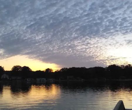 MATTS PINE HAVEN CAMPGROUND