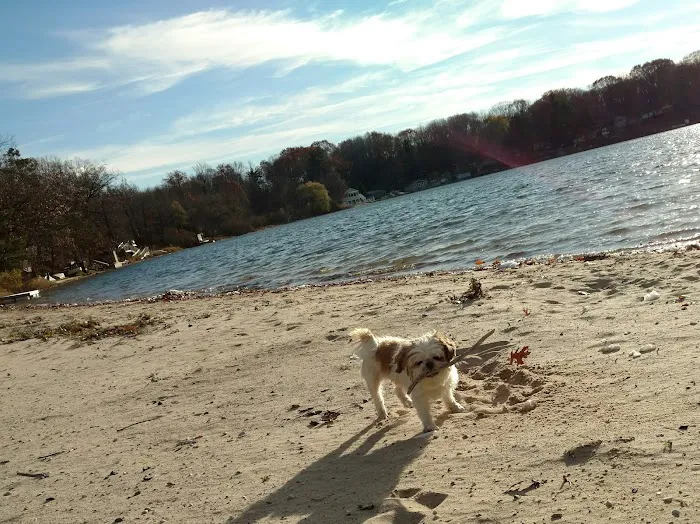 MATTS PINE HAVEN CAMPGROUND Picture 9