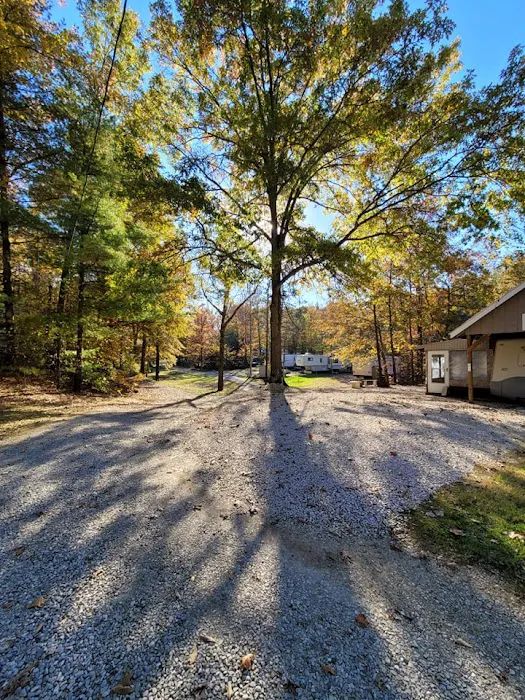 Hillbilly Acres Campground LLC Picture 1