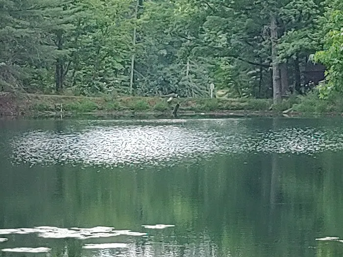 Hillbilly Acres Campground LLC Picture 5