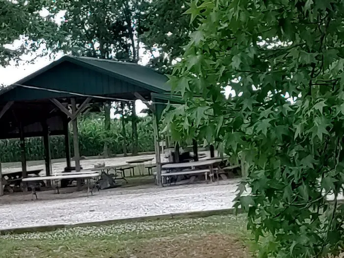 Hillbilly Acres Campground LLC Picture 6