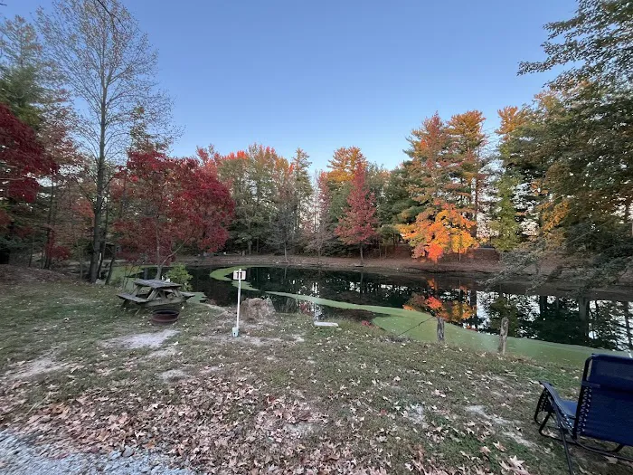 Hillbilly Acres Campground LLC Picture 10